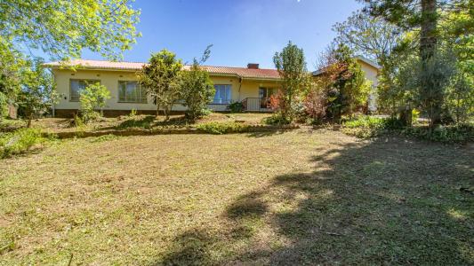 King Williams Town, Eastern Cape, Republika Południowej Afryki