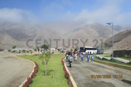 Condominio Bosques de Calango , Cañete, Lima 00001, Peru
