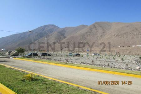 Condominio Bosques de Calango , Cañete, Lima 00001, Peru