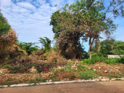 Ycua Caranday , Luque, Central 00001, Paraguay