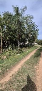 A 1 cuadra de Avda. Naumann - Ciervo Cuá - San Bernardino , San Bernardino, Cordillera 00001, Paraguay