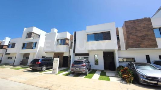 . .,, Solidaridad / Riviera Maya, Quintana Roo 77710, Mexico