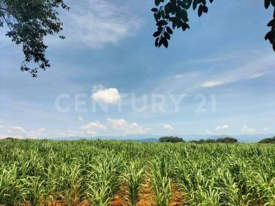 Carretera Alcaraces - alzada s/n,, Cuauhtemoc, Colima 28520, México