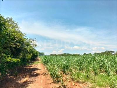 Carretera Alcaraces - alzada s/n,, Cuauhtemoc, Colima 28520, México