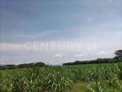 Carretera Alcaraces - alzada s/n,, Cuauhtemoc, Colima 28520, México