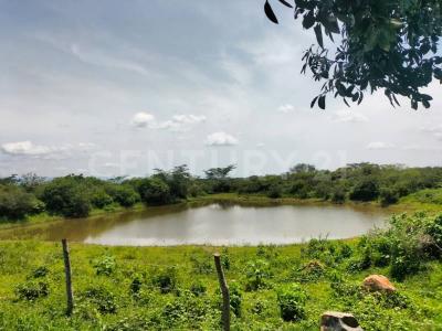 Carretera Alcaraces - alzada s/n,, Cuauhtemoc, Colima 28520, México