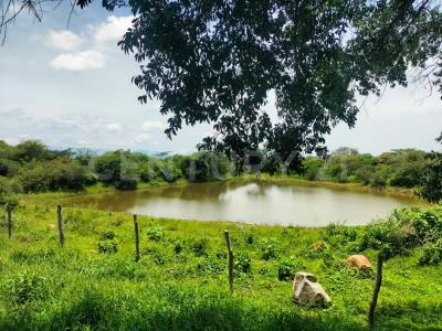 Carretera Alcaraces - alzada s/n,, Cuauhtemoc, Colima 28520, México