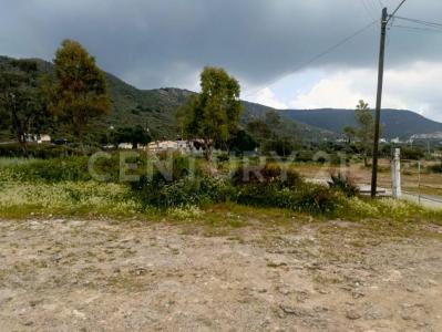 Las  Torres Pocitos Sin numero,, Mineral De La Reforma, Hidalgo 42001, Mexico