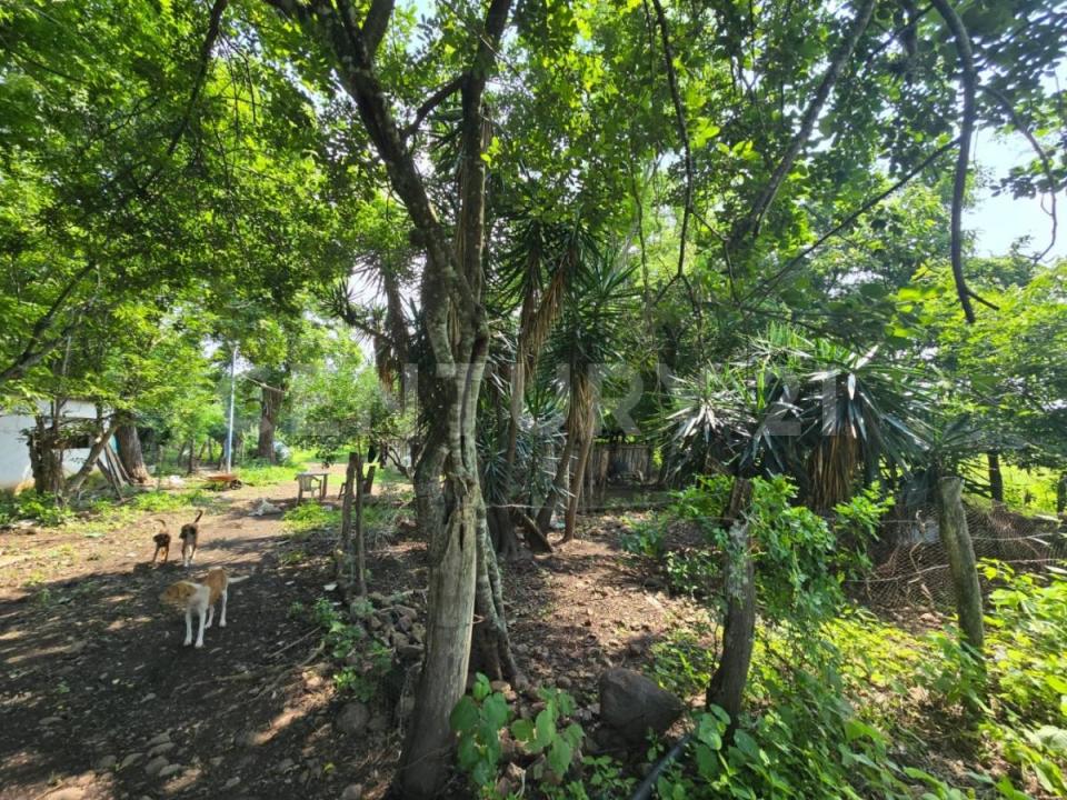 Soledad De Doblado, וראקרוס 94243, מקסיקו