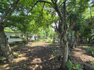 Soledad De Doblado, וראקרוס 94243, מקסיקו