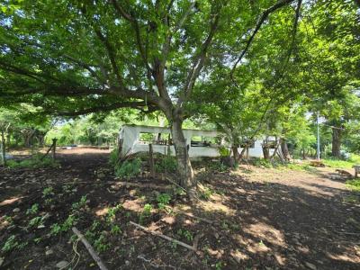 Soledad De Doblado, וראקרוס 94243, מקסיקו