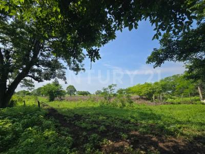 Soledad De Doblado, וראקרוס 94243, מקסיקו