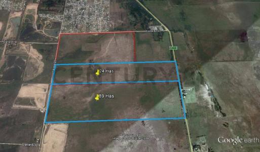 11 S/N, La Plata, GBA Sur 00001, Argentina