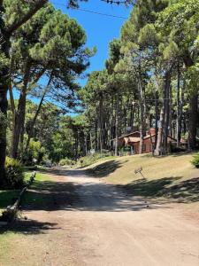 Chingolo 709, Pinamar, Buenos Aires Costa Atlántica 7167, Argentine