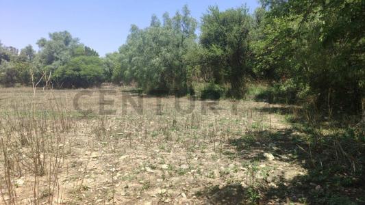 San Lorenzo, Tarija 00001, Bolivia