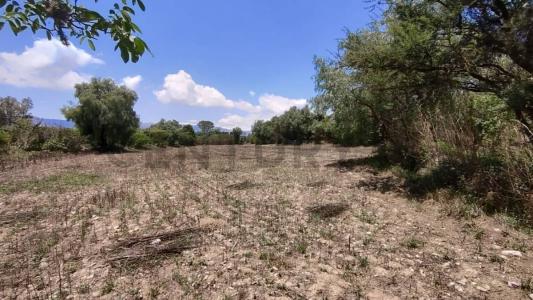 San Lorenzo, Tarija 00001, Bolivia