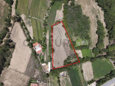 San Lorenzo, Tarija 00001, Bolivia