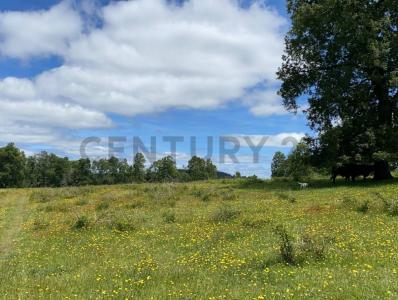Cautín, Región De La Araucanía 00001, Cile