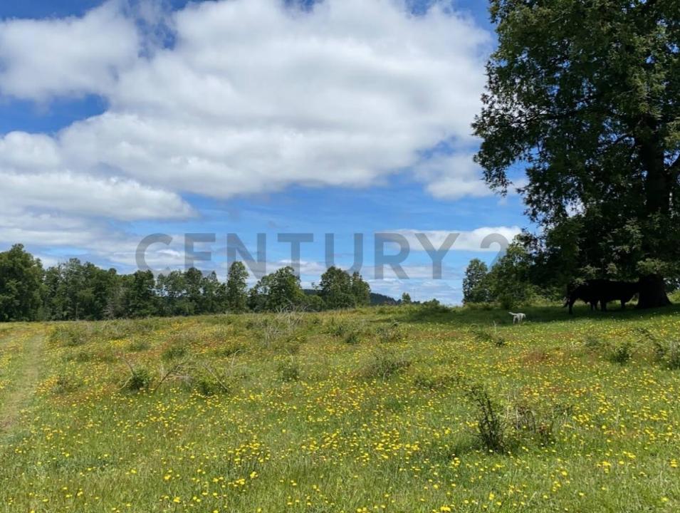 Cautín, Región De La Araucanía 00001, Chile