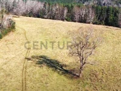 Cautín, Región De La Araucanía 00001, Chile