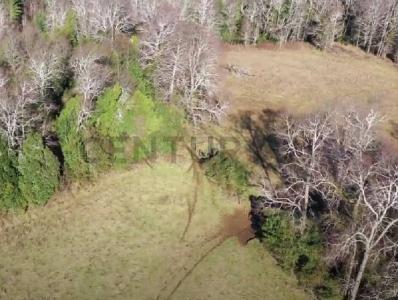 Cautín, Región De La Araucanía 00001, Chile