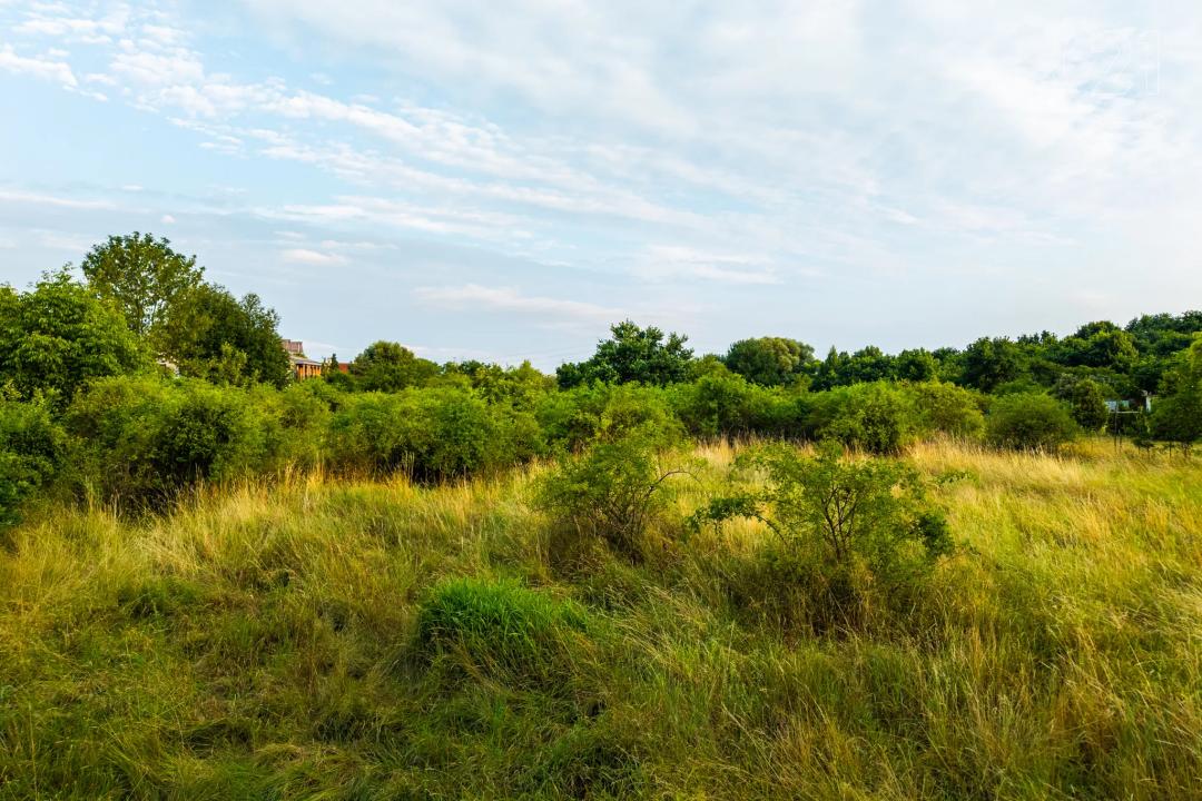 Praha, Území Hlavního Města Prahy 100 00, Czech Republic