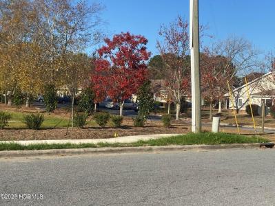 0 Brown Street, 華盛頓州, 北卡羅來納州 27889, 美國