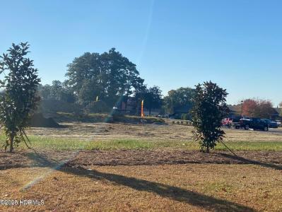 0 Brown Street, 華盛頓州, 北卡羅來納州 27889, 美國