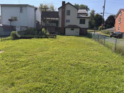 1368 Cardiff Road, Nanty-Glo-, Pennsylvania 15943, Estados Unidos