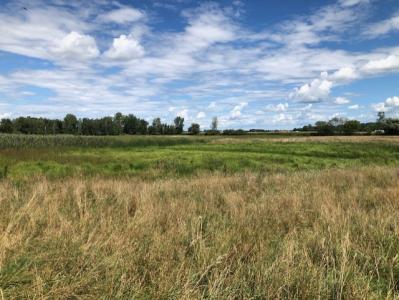 Murray Rd., Brown City, Michigan 48416, USA