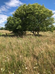 Murray Rd., Brown City, Michigan 48416, États-Unis