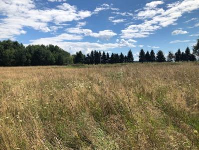 Murray Rd., Brown City, Michigan 48416, États-Unis