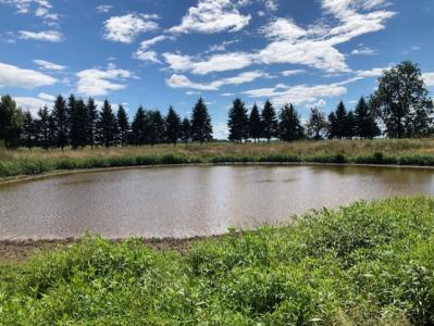 Murray Rd., Brown City, Michigan 48416, États-Unis