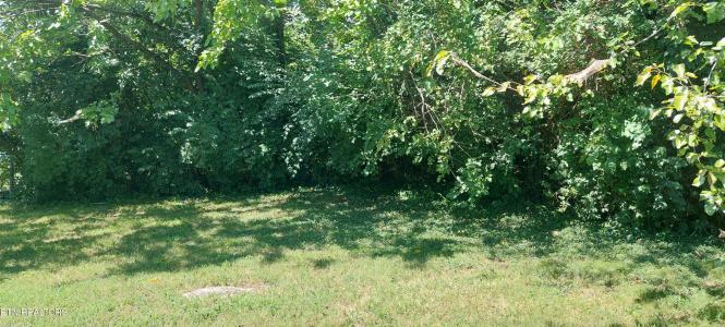 1833 Woodbine Ave, Knoxville, Tennessee 37917, Stati Uniti