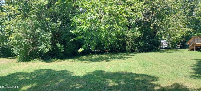 1833 Woodbine Ave, Knoxville, Tennessee 37917, Stati Uniti