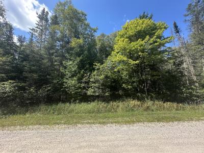 Lot 876 Cedarbrook Drive, Oscoda, Michigan 48750, USA
