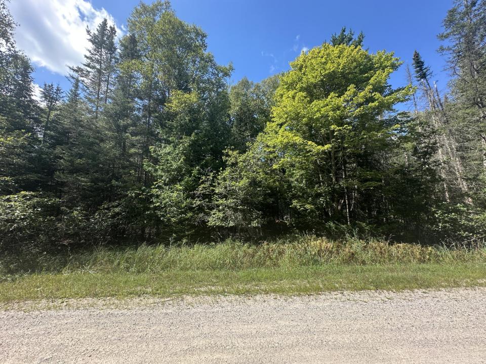 Lot 876 Cedarbrook Drive, Oscoda, Michigan 48750, États-Unis