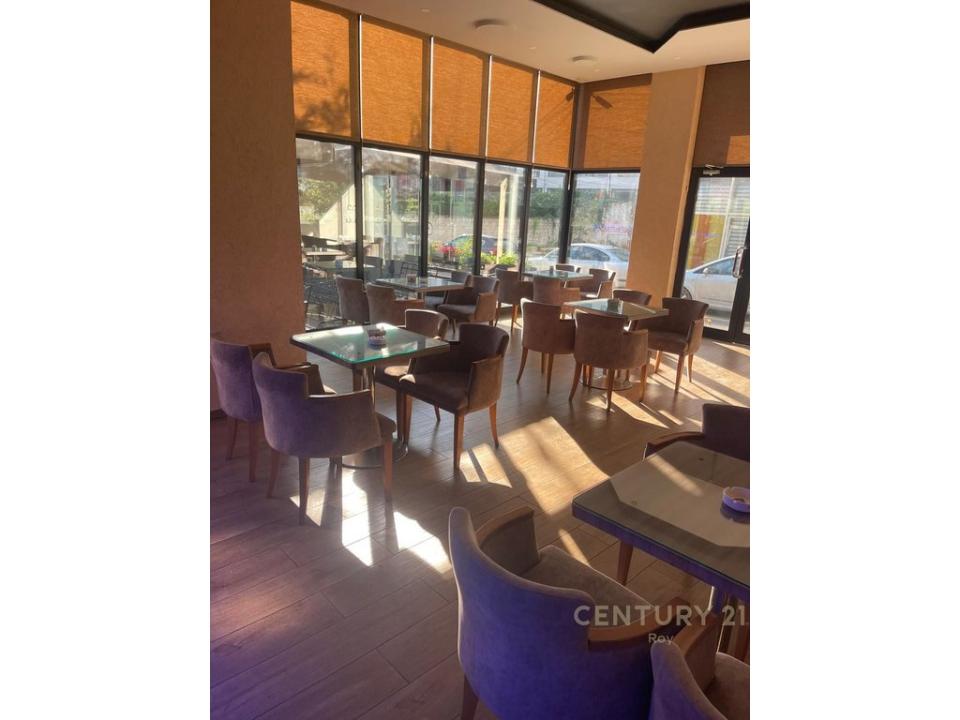 Instituti Bujqesor, Kamëz, אלבניה