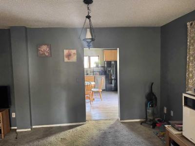 5228 48 STREET, Provost, Alberta T0B 3S0, Canadá