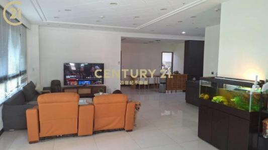 中央路, Xinzhuang Dist., 新北市 242, 台灣