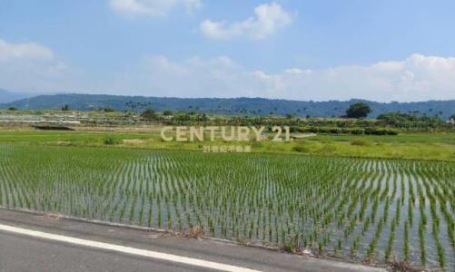 頂崁段, Caotun Township, Nantou County 542, Taiwan
