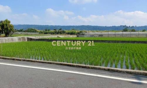 頂崁段, Caotun Township, Nantou County 542, Taiwan