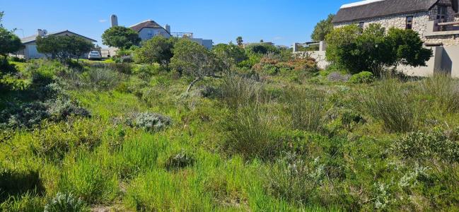 Gansbaai, Western Cape, South Africa
