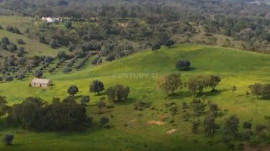 Santiago Do Cacém, Setubal 7540-000, Portugal