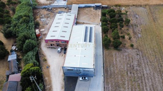 Salvaterra de Magos, Santarém 2120-066, Portugal