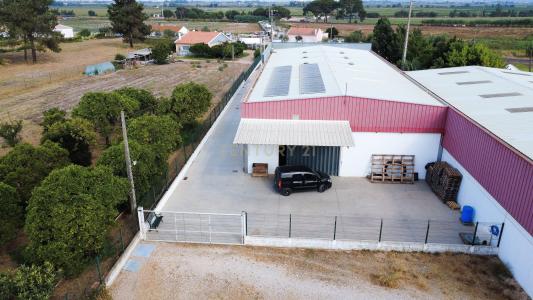 Salvaterra De Magos, 산타렘 2120-066, 포르투갈