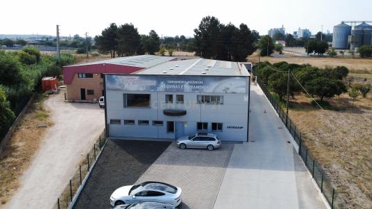 Salvaterra De Magos, 산타렘 2120-066, 포르투갈