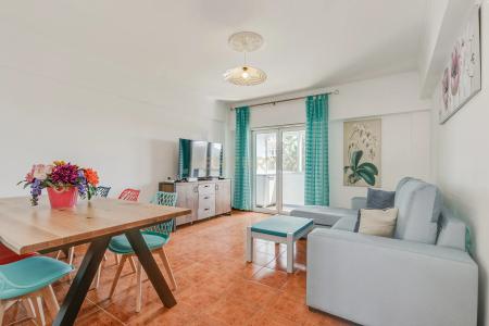 Vila Franca de Xira, Lisbon 2615-311, Portugal