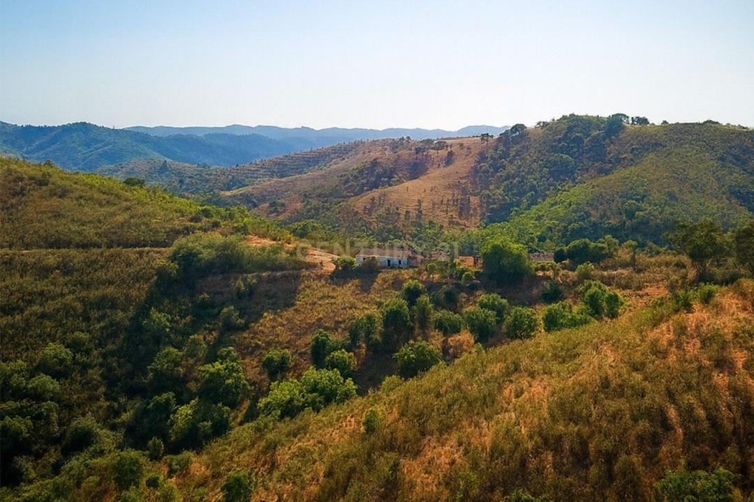 Ourique, Beja 7670-613, Portugal