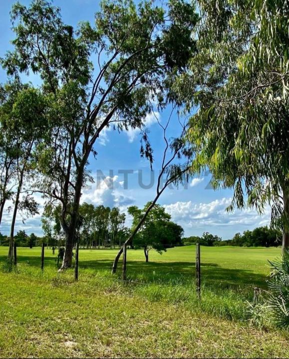 Surubii , Mariano Roque Alonso, Central 00001, Paraguay